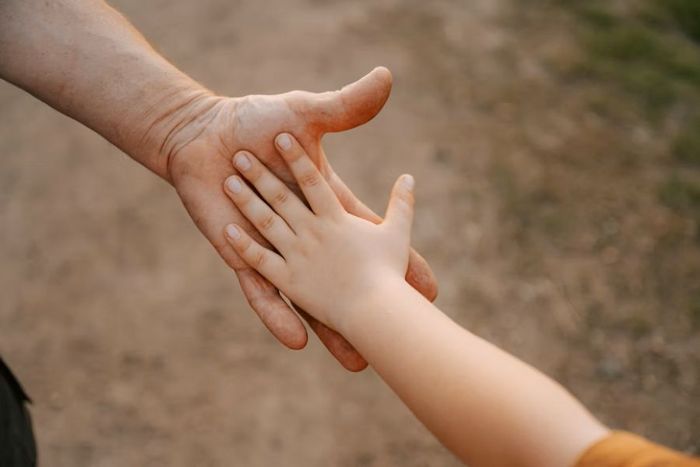 特定非営利活動法人おはな